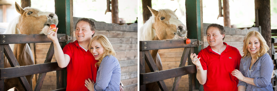 apple orchard engagement 6