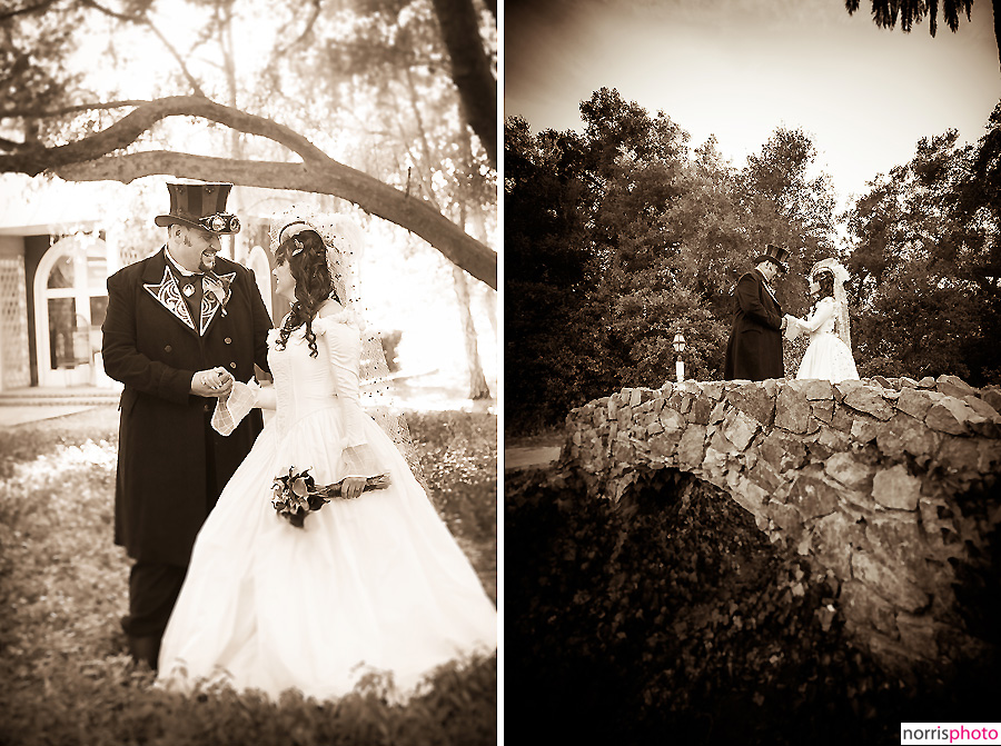 Steampunk wedding