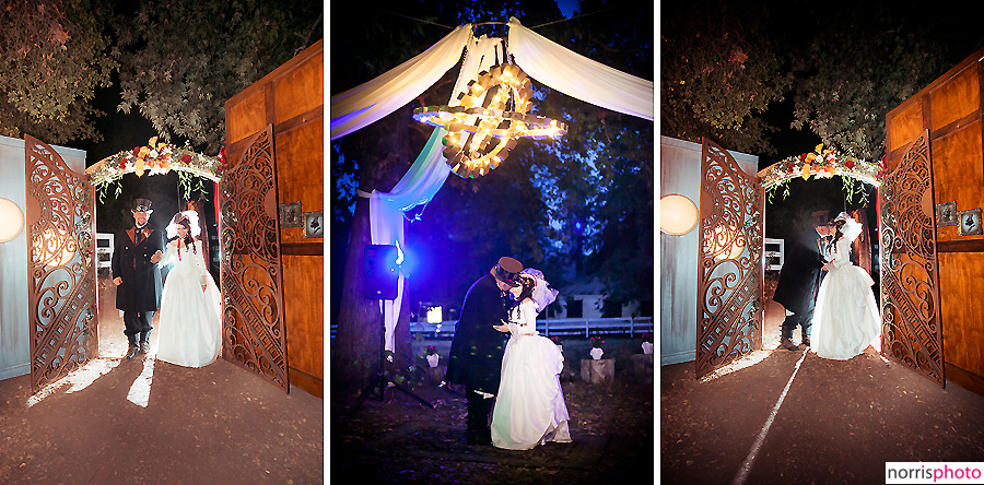 steampunk bride and groom