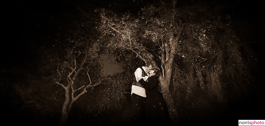 steampunk bride and groom