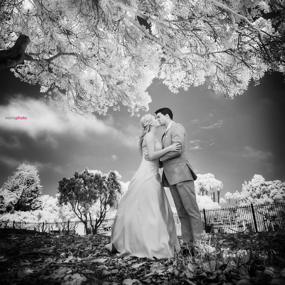 infrared-wedding-photography-black-and-white