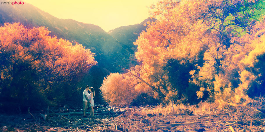 infrared-wedding-photography-forrest engagement-idea