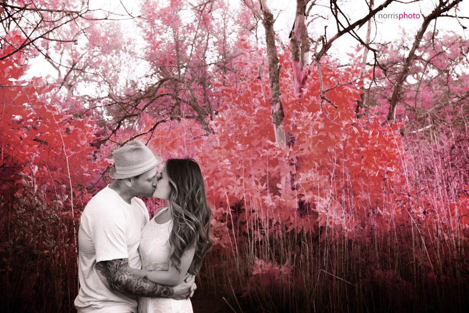 infrared-wedding-photography-red-trees-engagement