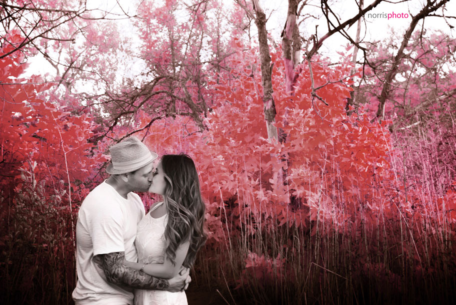 infrared-wedding-photography-red-trees-engagement infrared-wedding-photography-red-trees-engagement