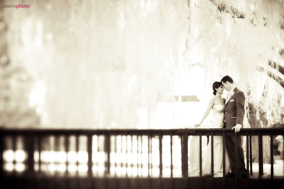 infrared-wedding-photography-tilt-shift